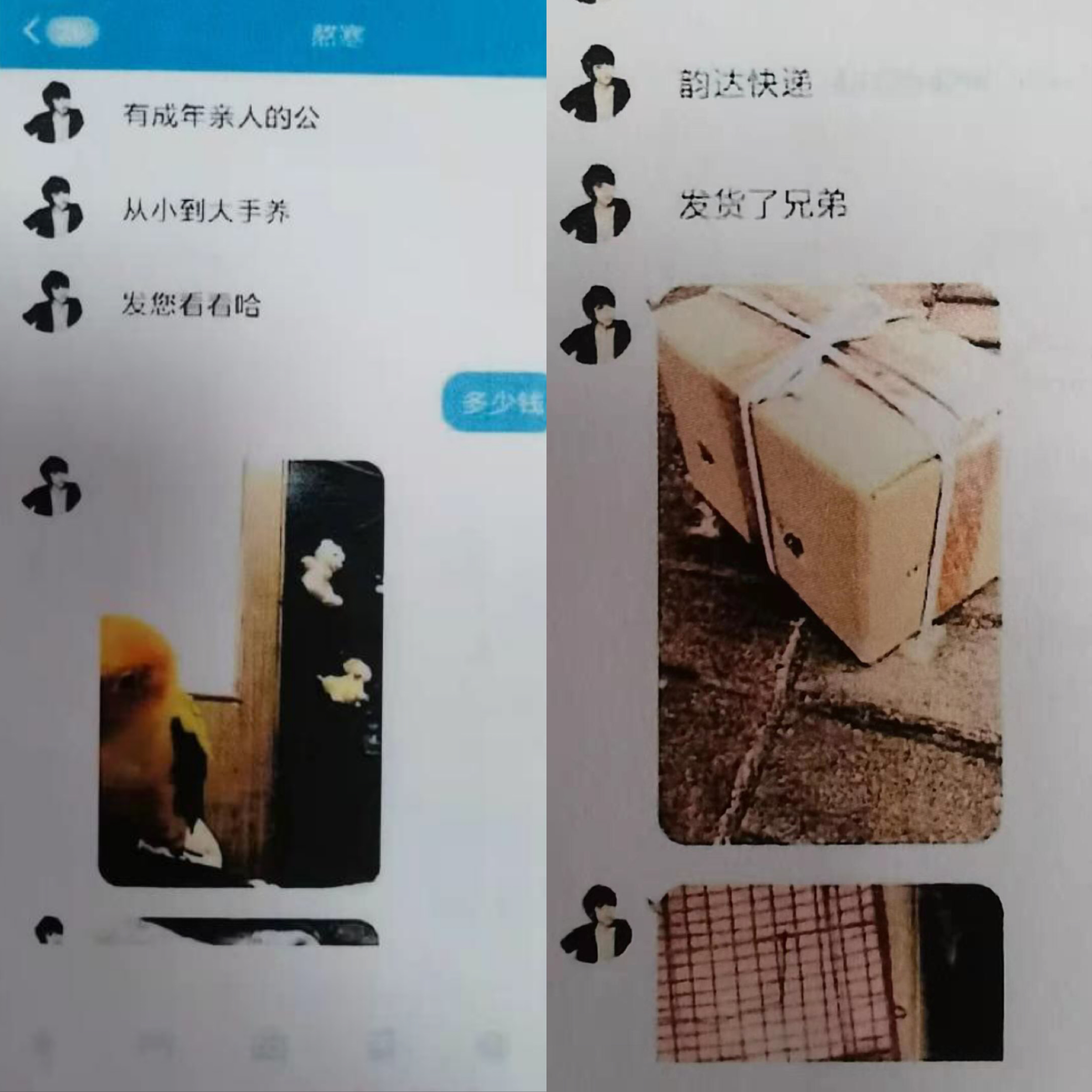 眼见为实未必靠谱,眼见未必为实真人真事