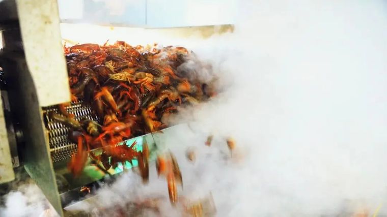 小龙虾全国十强品牌有哪些,全国小龙虾最出名的城市排名