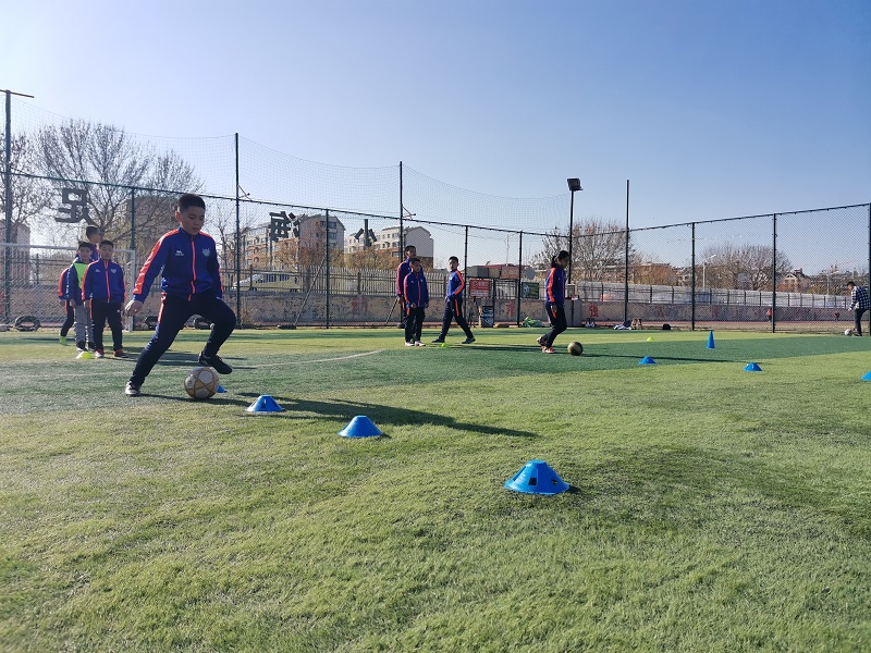 李晓军辽宁新民,李晓军足球