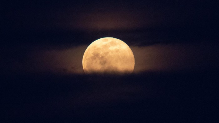 不要错过下一个满月：蠕虫月