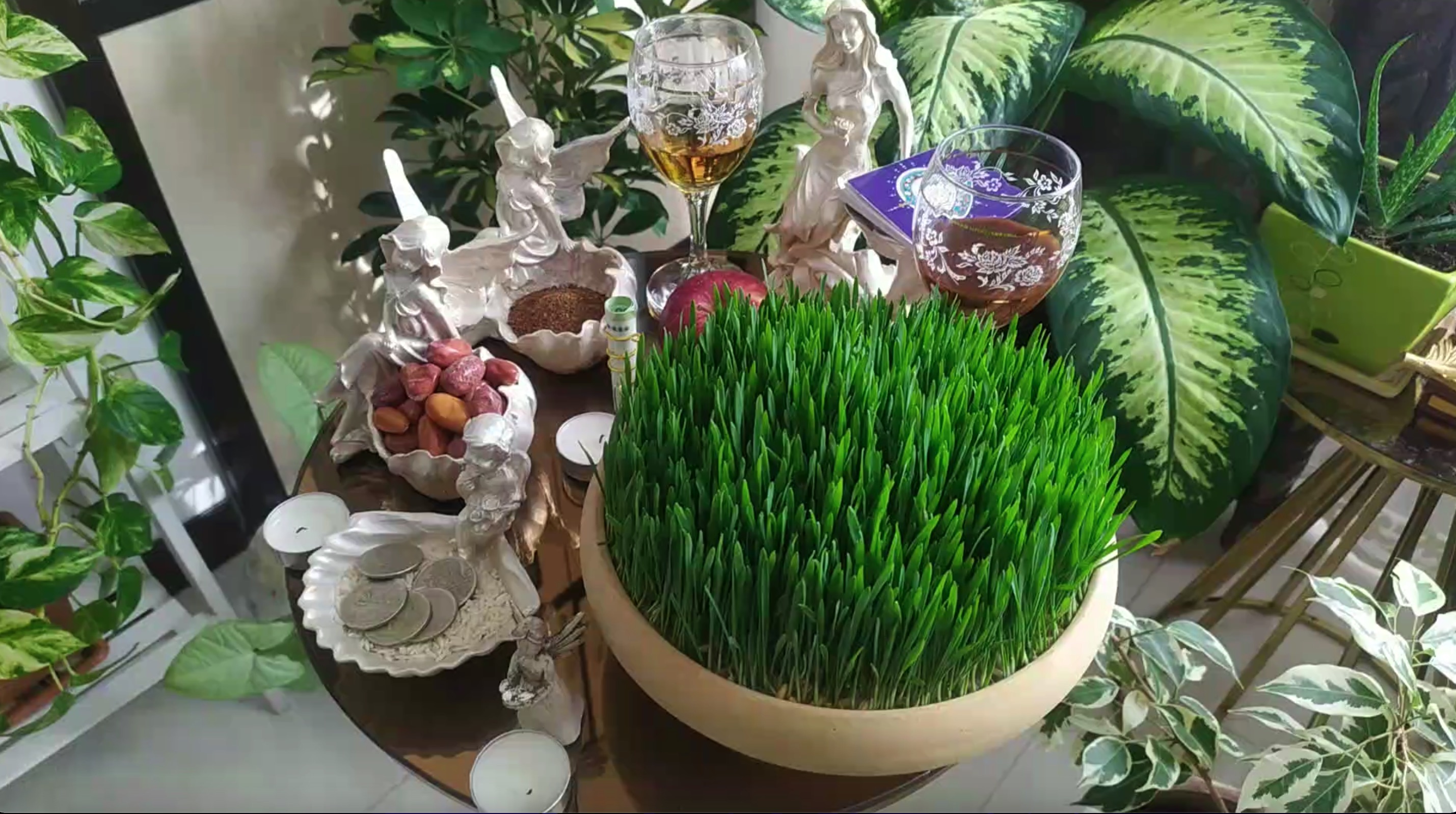 驻外手账|买金鱼、备“七鲜”，伊朗人这样过新年