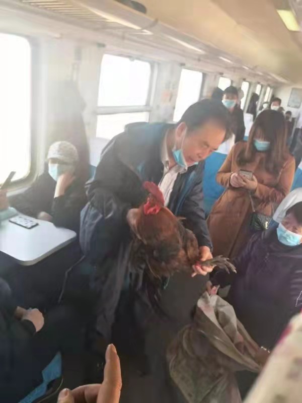 为群众办实事12309,为群众办实事便民服务高效