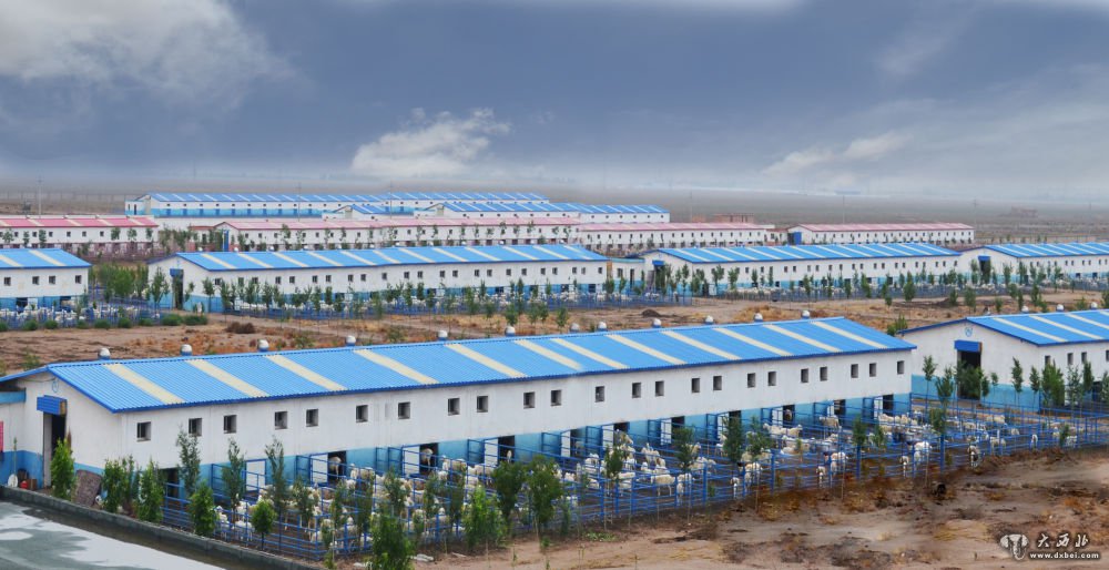 东北振兴领头羊,中国乡村振兴领头羊