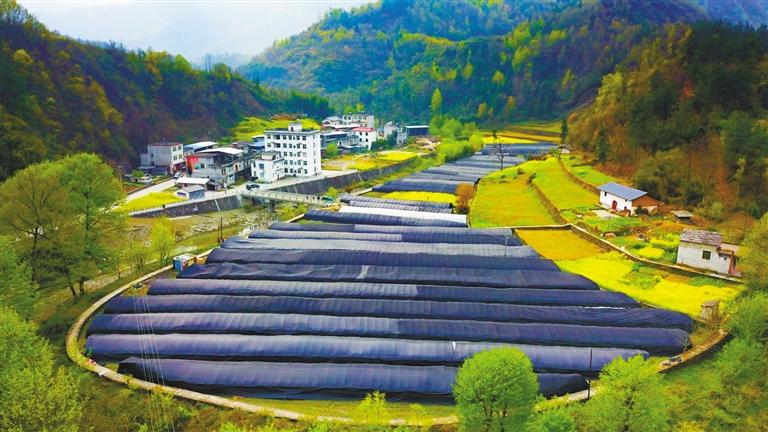 看致富经用什么软件,看致富经的人逆袭