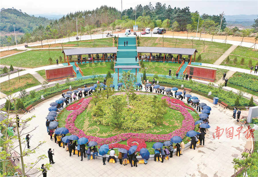 2021年12月2日焦点图,2019年5月24日焦点