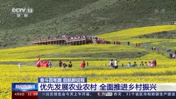 乡村振兴战略是三农工作的总抓手,新时期三农工作全面推进乡村振兴