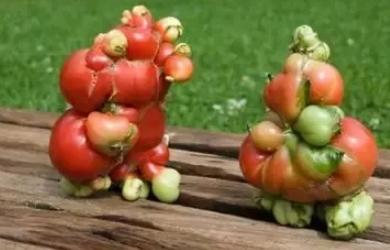 往大海里倒垃圾真没教养原视频,往大海里倒垃圾真没教养表情包