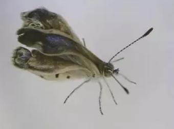 往大海里倒垃圾真没教养原视频,往大海里倒垃圾真没教养表情包