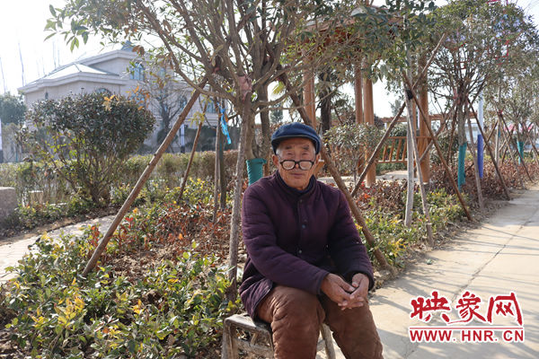 驻马店西平乡村振兴成果,河南西平振兴美丽乡村