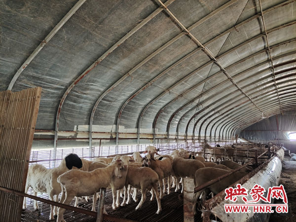 驻马店西平乡村振兴成果,河南西平振兴美丽乡村