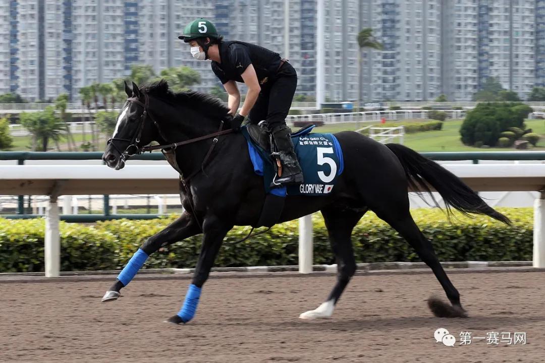 铁人三项赛事2021奖金多少,官方三大赛147奖金