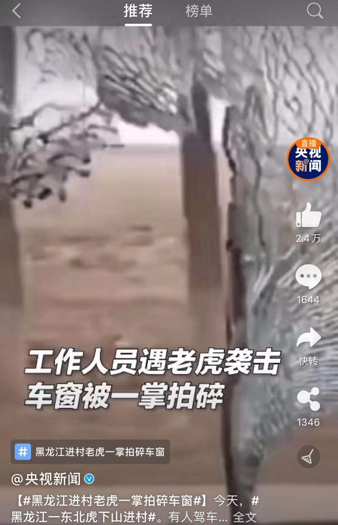 老虎进村真实现象,专家谈老虎进村