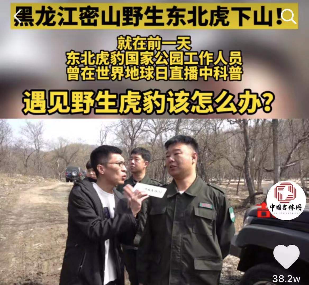 老虎进村真实现象,专家谈老虎进村