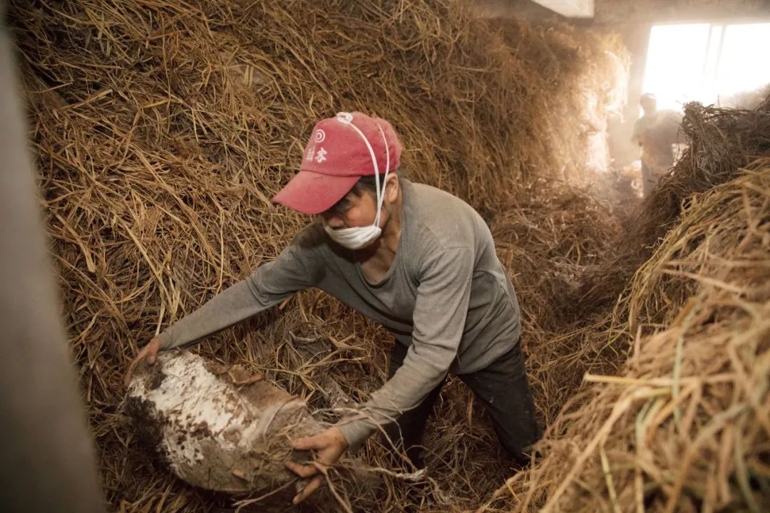 国酒茅台镇全景图片,国酒茅台镇
