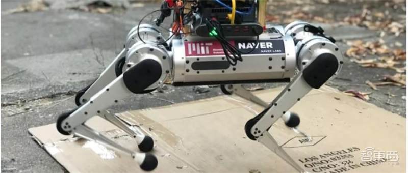 5位华人学生研发“机器导盲犬”，避障、导航样样在行