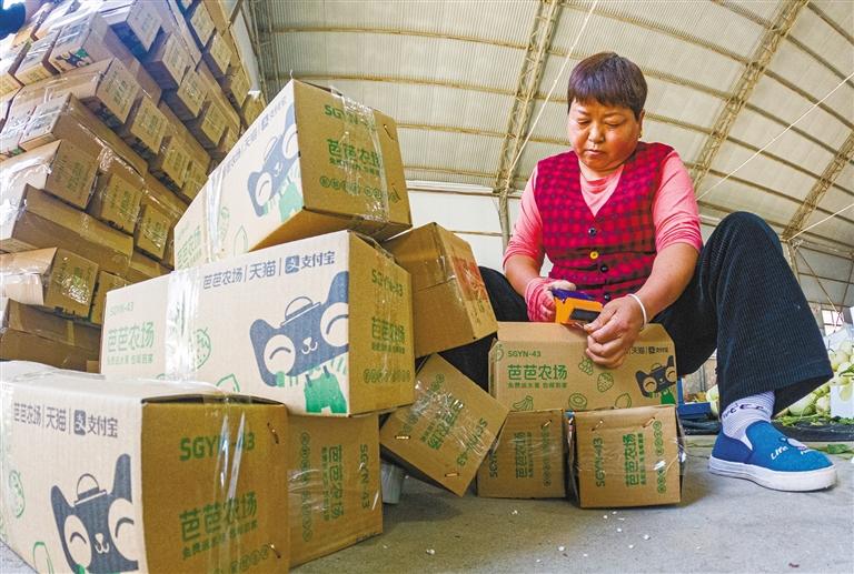 陕西阎良甜瓜超甜,陕西阎良甜瓜熟了