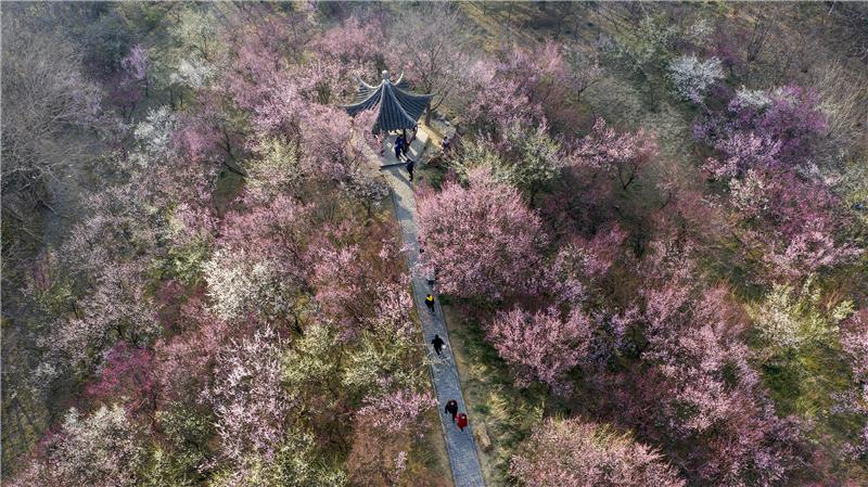 北京五一出游攻略大全,五一假期出游攻略江西