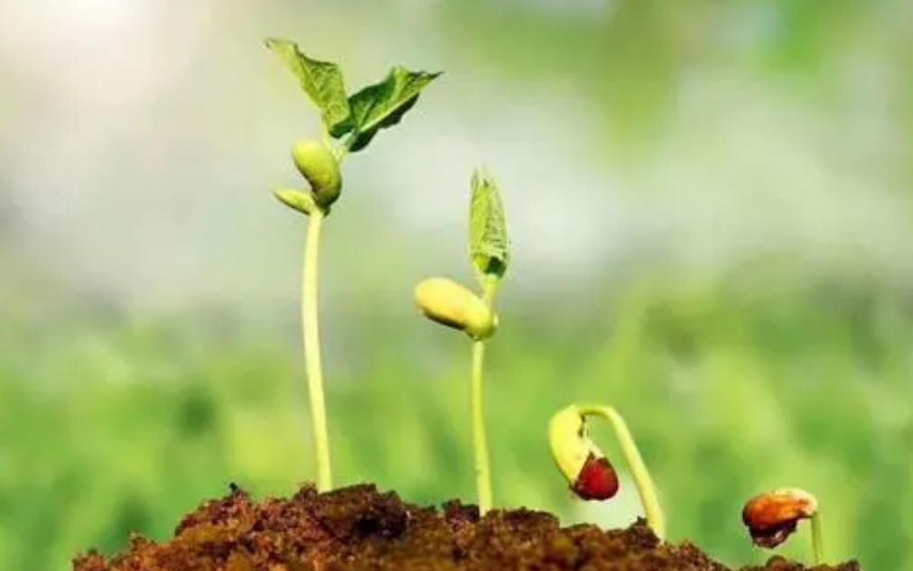 运用谈话技巧帮助孙华摆脱“全能神”*教邪**