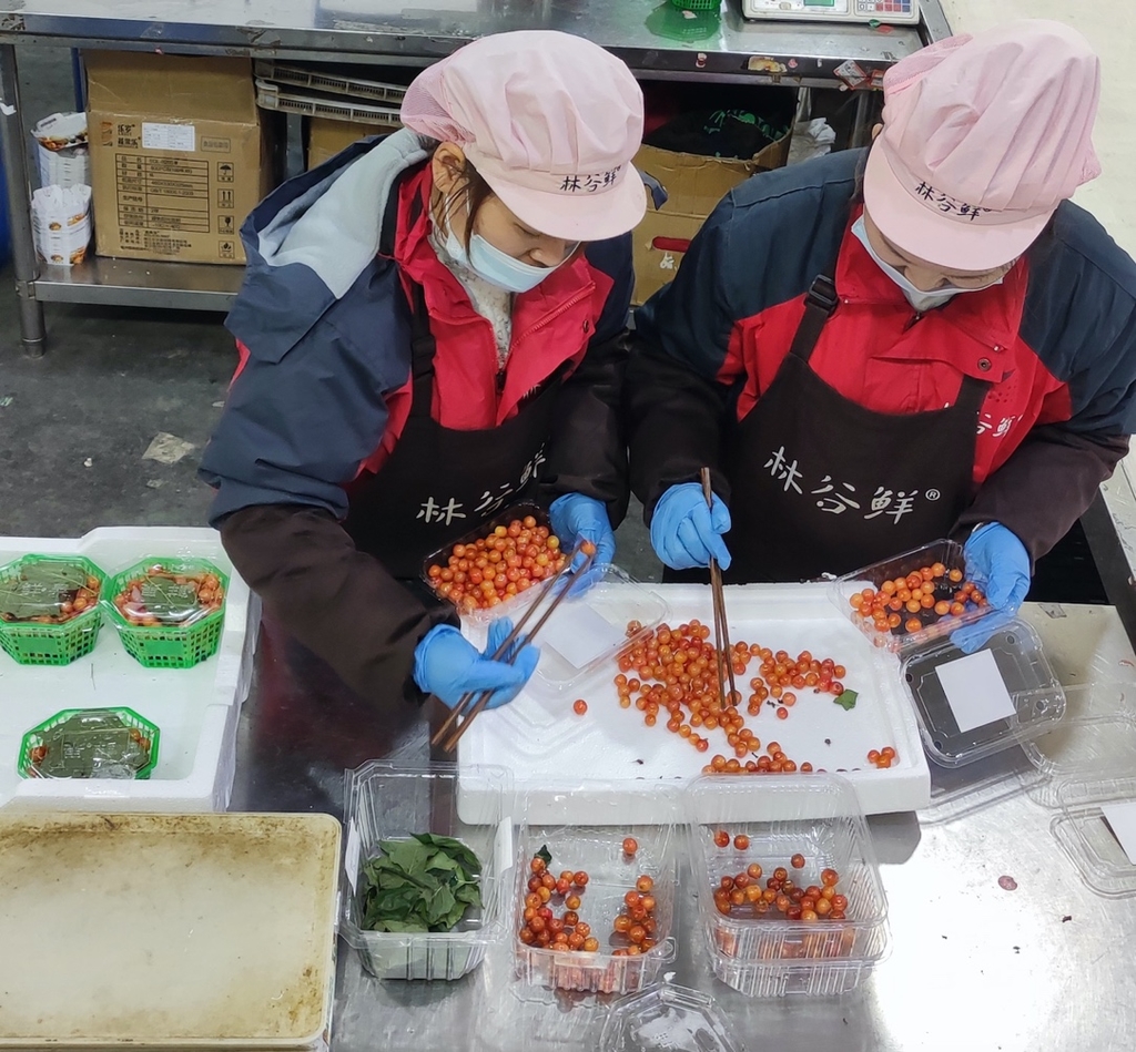 30斤攀枝花樱桃多少钱,攀枝花小樱桃价格表