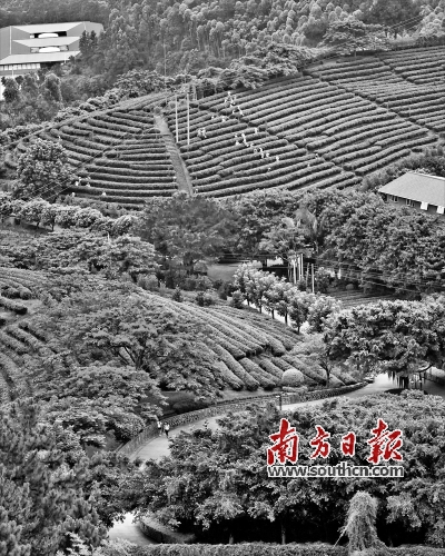 风景区全域旅游,全域旅游指的是什么