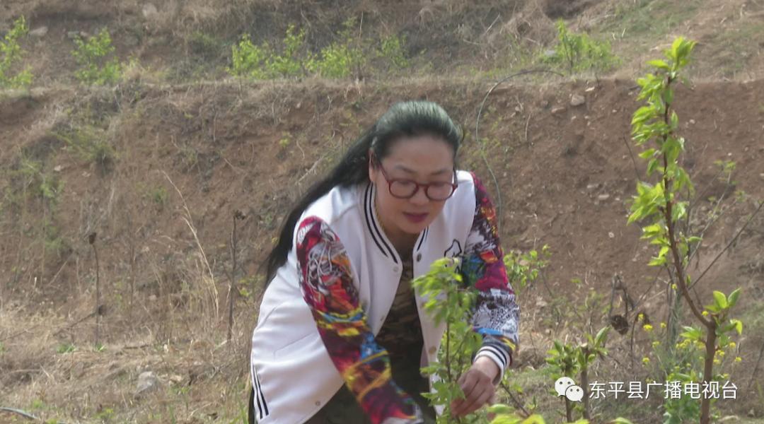 巾帼“愚公”潘婷：誓让荒山换新颜