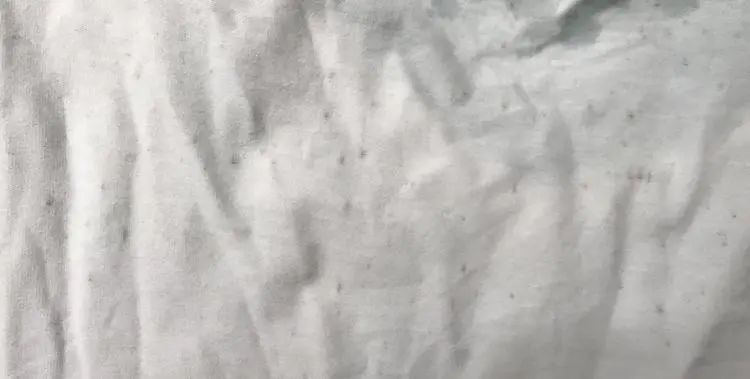 白衣服黄了怎么洗都洗不掉,白衣服有霉点怎么洗下来