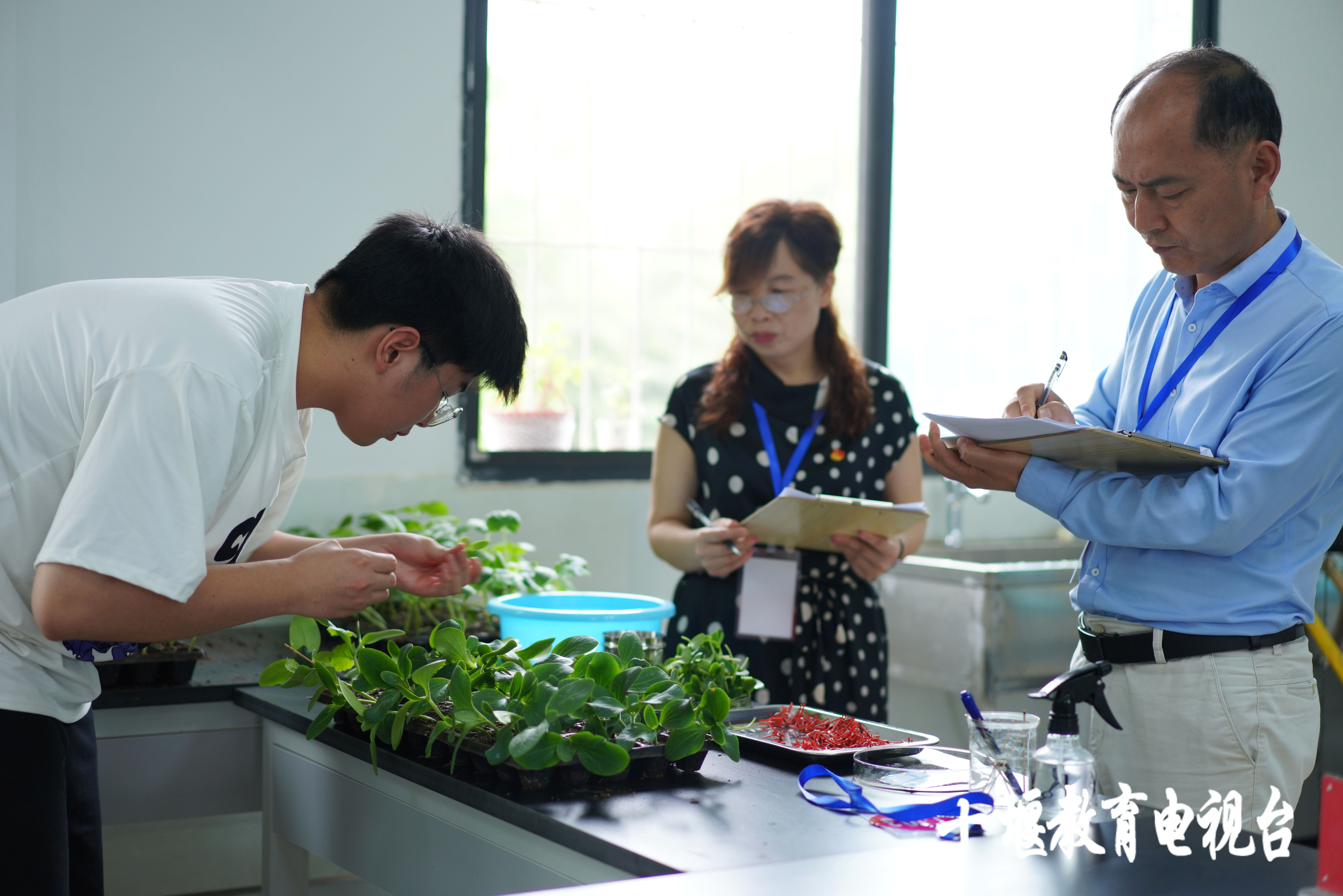 移花接木这一招,最离谱的移花接木