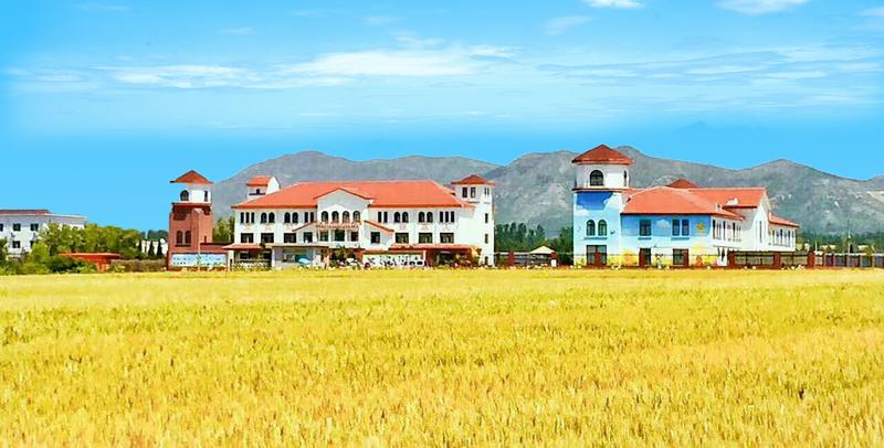 打造中国最美乡村,打造最美乡镇