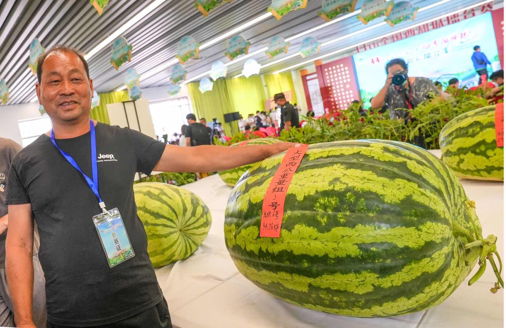 全国西瓜大兴“打擂”，庞各庄189斤大西瓜问鼎“瓜王”