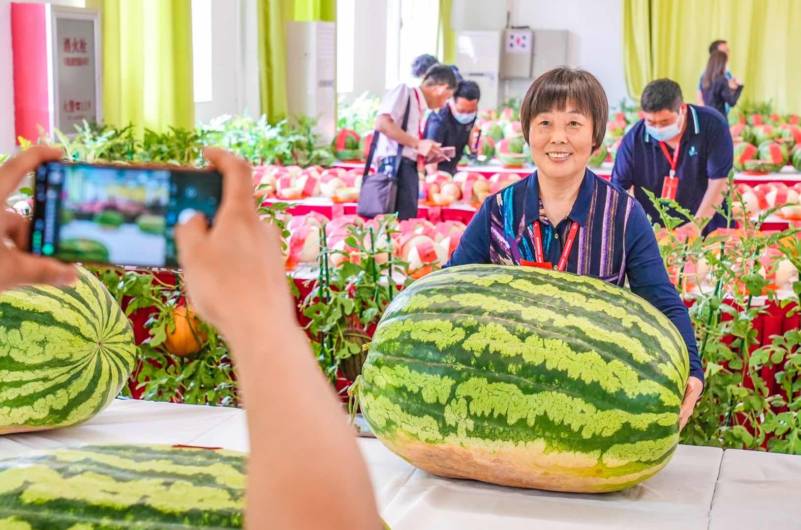 全国西瓜大兴“打擂”，庞各庄189斤大西瓜问鼎“瓜王”