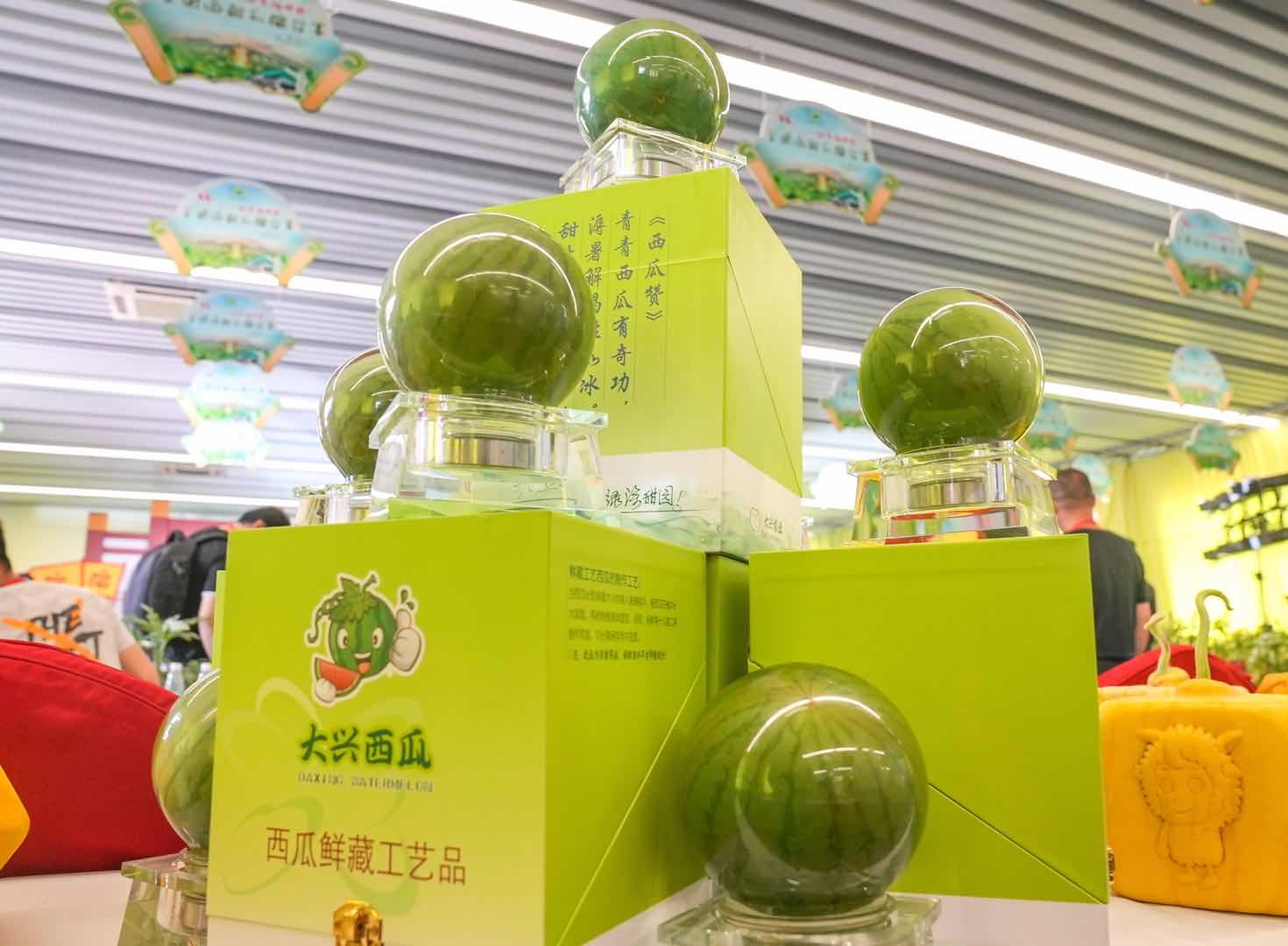 全国西瓜大兴“打擂”，庞各庄189斤大西瓜问鼎“瓜王”