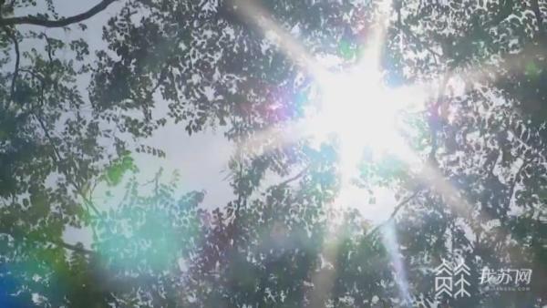 高考遇高考防暑不能少,高考防中暑