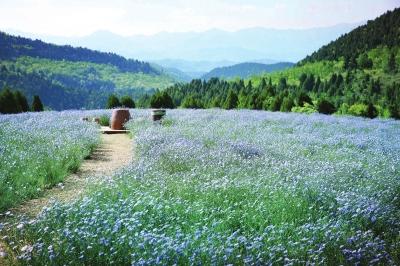 洛南高质量发展新篇章,洛宁县建设规划