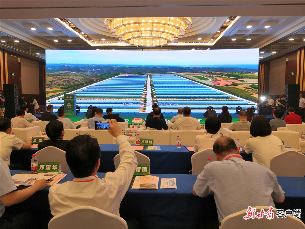 甘肃环县种羊,甘肃庆阳环县羊羔肉