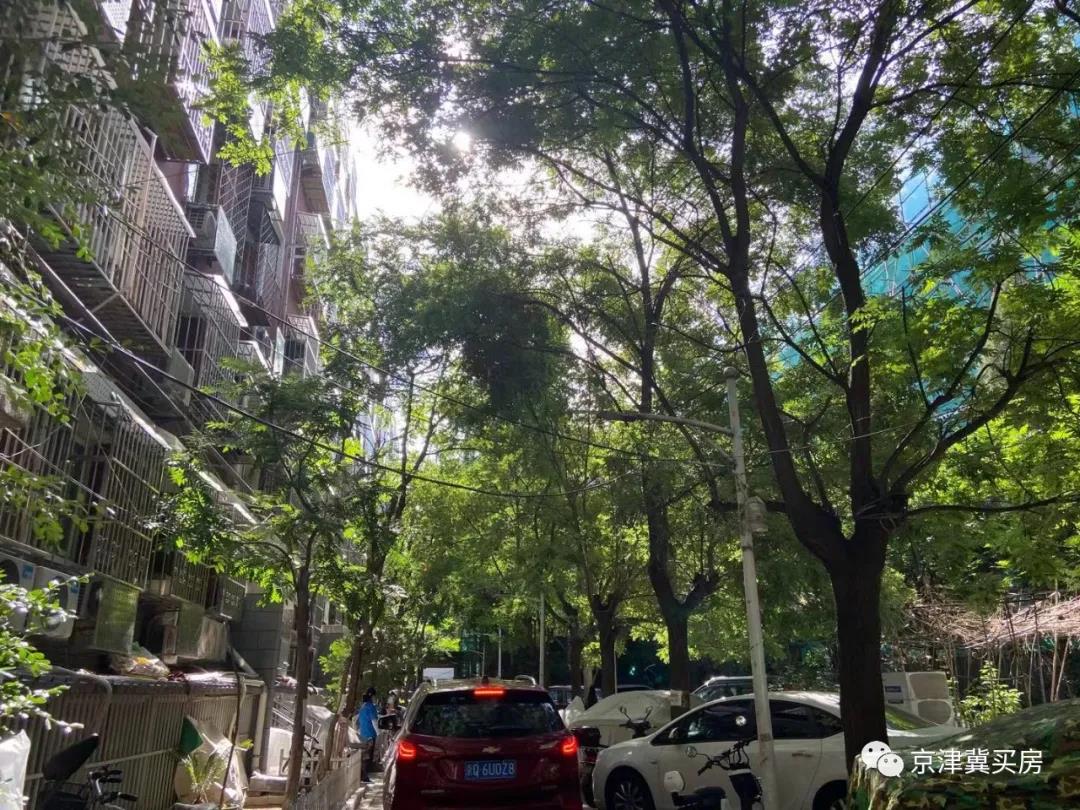 月坛学区最值得买的小区,月坛学区房深度分析