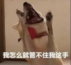 怎么在抖音网页版刷抖音,怎么在电脑上刷抖音和看抖音