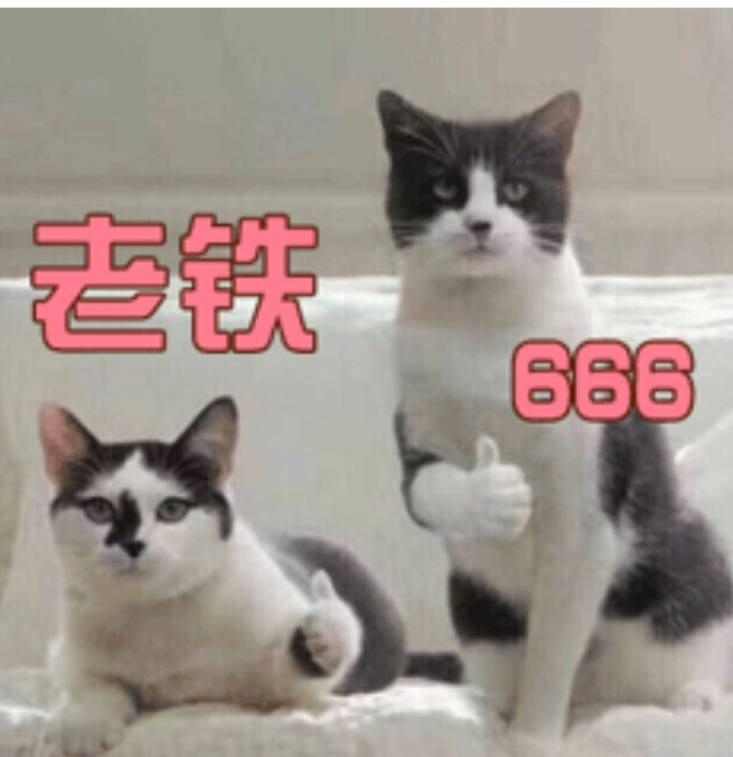 怎么在抖音网页版刷抖音,怎么在电脑上刷抖音和看抖音