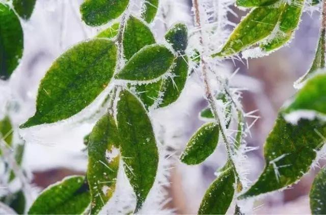 张家界旅游各种攻略大全,张家界最新实用旅行攻略图片高清