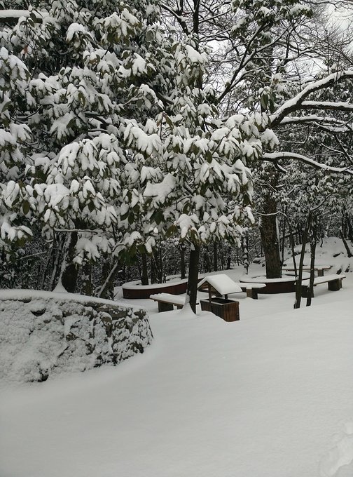 张家界旅游各种攻略大全,张家界最新实用旅行攻略图片高清