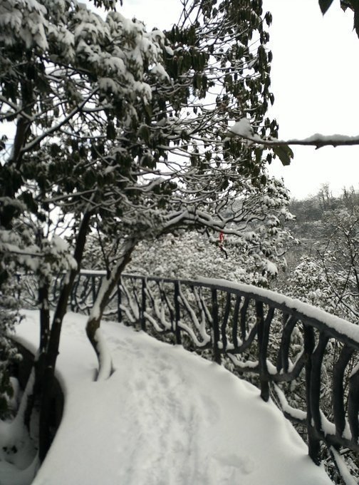 张家界旅游各种攻略大全,张家界最新实用旅行攻略图片高清