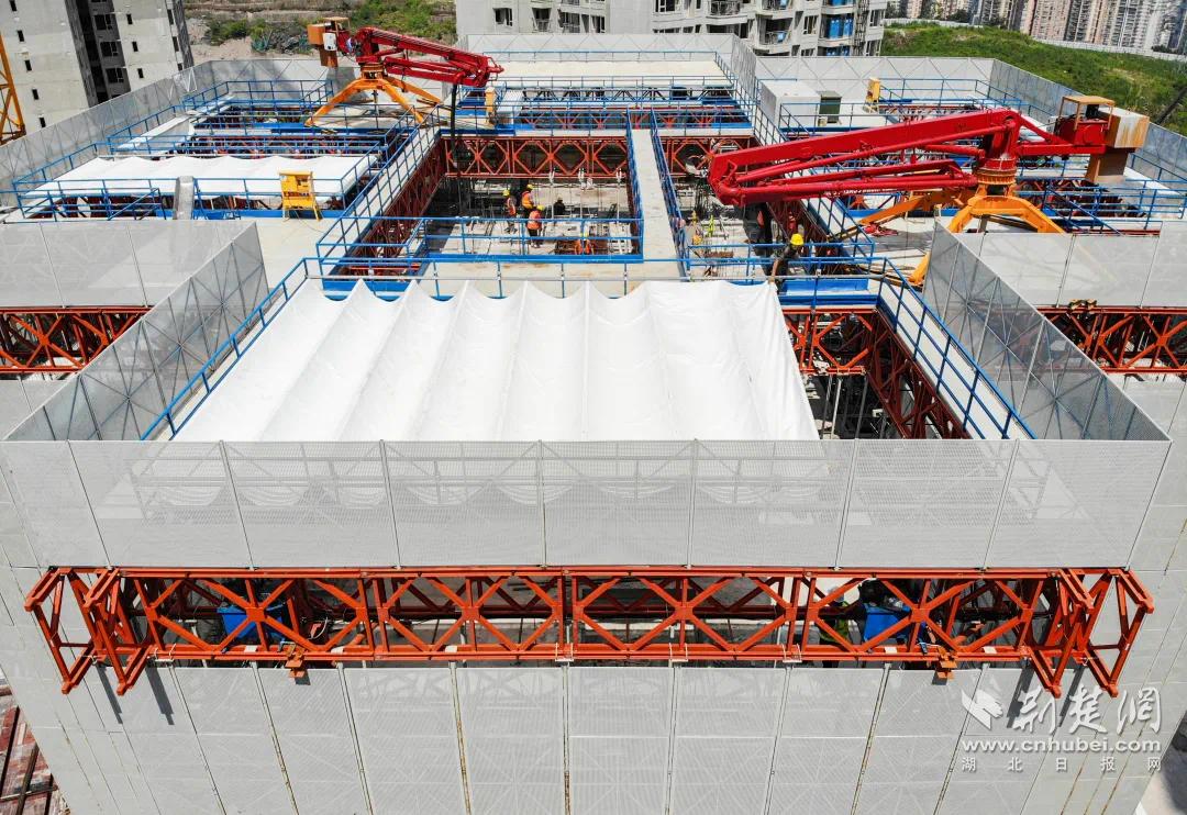 手臂被晒伤脱皮一块一块的白,胳膊被晒伤后掉皮了怎么办