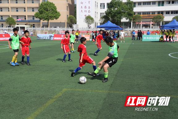 我爱足球民间争霸赛湖南赛区,张家界第六届中小学生足球联赛
