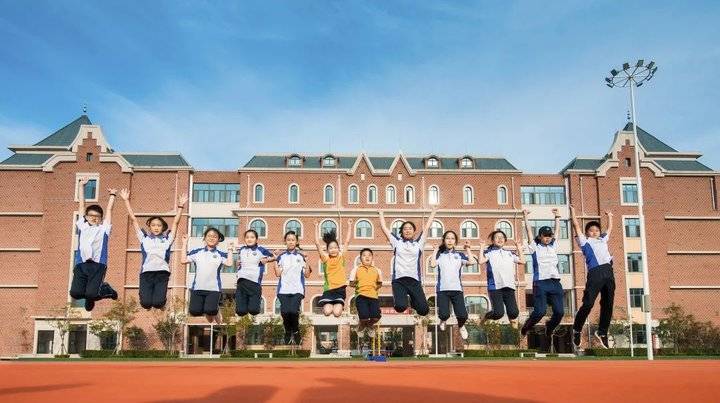 271教育升学率怎么样,对271分权赋能的感悟