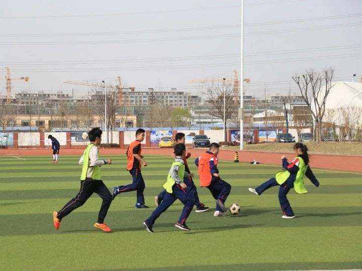 271教育升学率怎么样,对271分权赋能的感悟