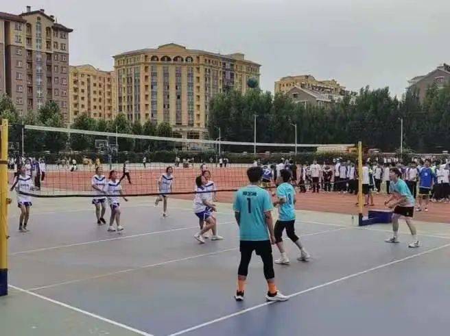 271教育升学率怎么样,对271分权赋能的感悟