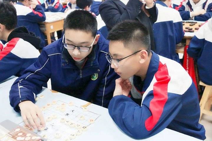 271教育升学率怎么样,对271分权赋能的感悟