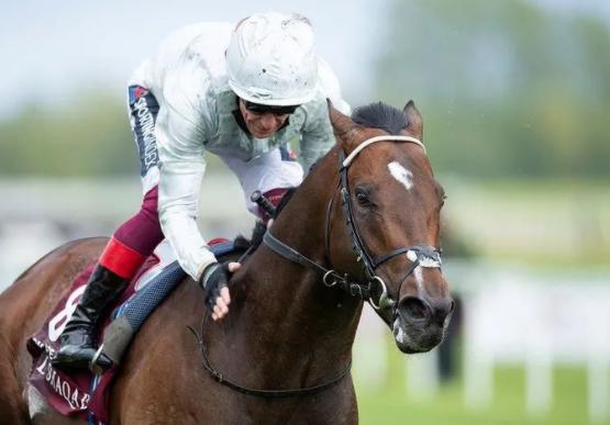 世界马匹最新排名出炉，日蚀大赛盟主“金教堂”荣登榜首