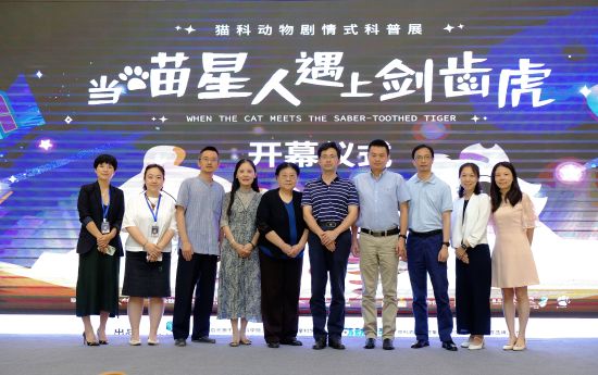 当喵星人遇到剑齿虎,当喵星人遇上汪星人