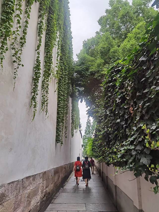 鍏充簬鎴戠殑2021鎬荤粨,璇磋鎴戠殑瀹朵埂鏉窞