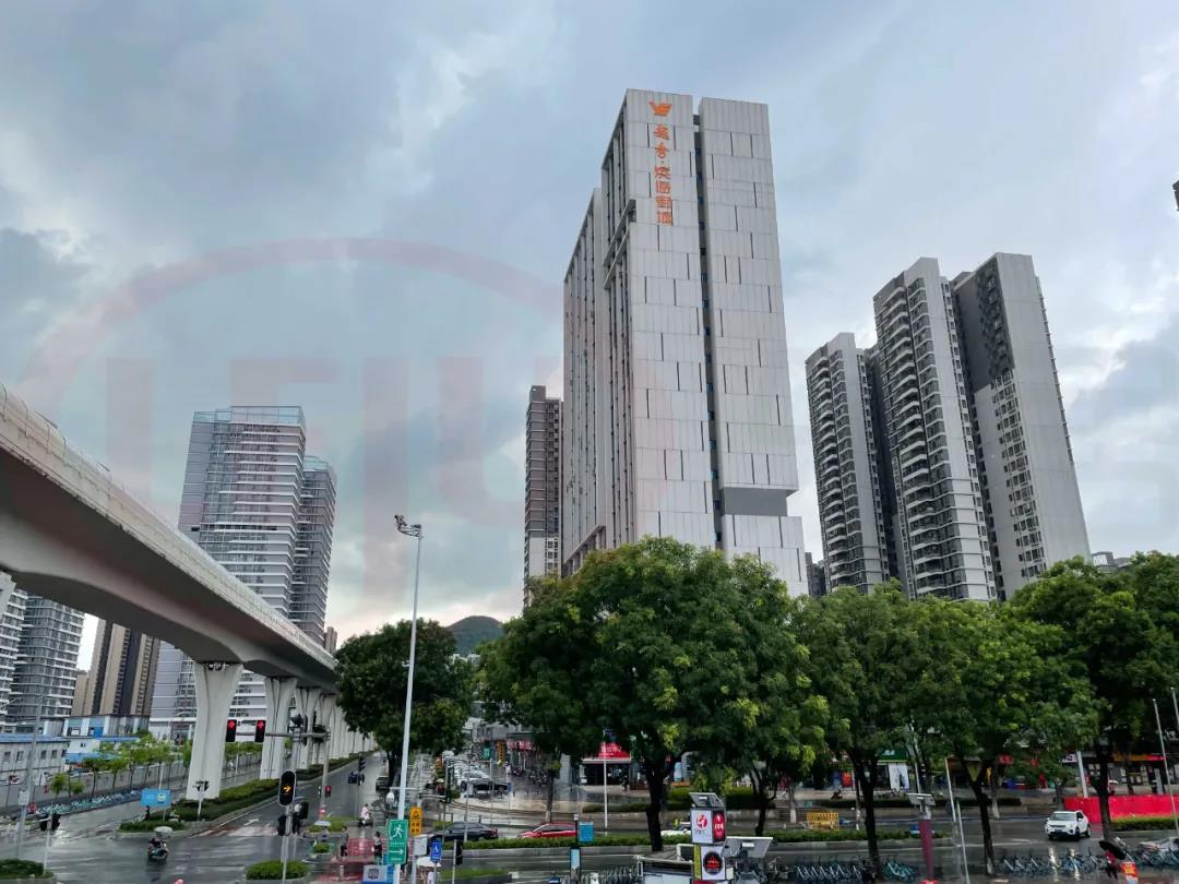 南沙2024旧改最新消息,南沙纳入旧改三年计划的村